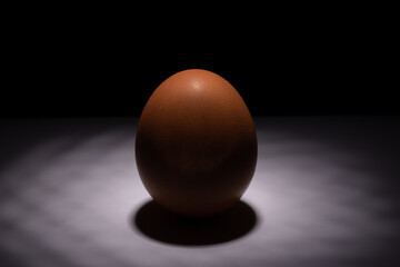 egg standing on the table, illuminated by a spotlight