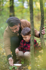 Beautiful family father and son searching for mushrooms