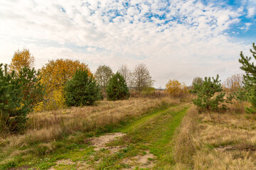 One autumn day in the forest, Belarus. Walking in the fields. Haze and humid air. Fallen leaves, warm day in November. Orange, yellow, green autumn colours. Blue sky, green grass, cold air. 
