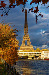 Fototapeta na wymiar Beautiful view of autumn tree with the Eiffel tower in the foreground in Paris.