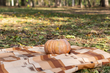 autumn happiness tourists picnic litter nature, Park