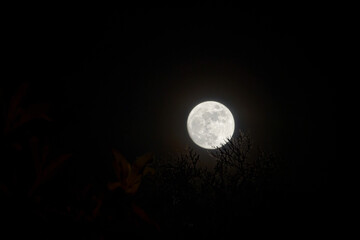 luna llena © Edwin