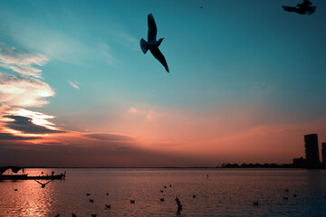 Silhouette of seagulls and a fisher boat on a blue and red sky on sunset.