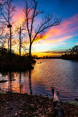 Beautiful golden hour sunset over a lake with a reflection and showing some fall colors and the silhouette of trees and leaves.
