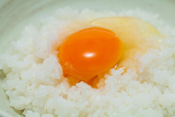 卵かけ御飯