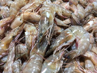 raw shrimps on the market