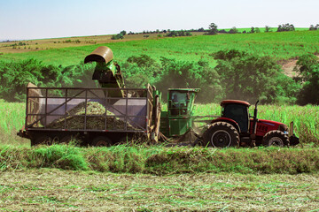 Barra Bonita/SãoPaulo/Brasil-05/02/2020: Sugar cane harvesting machine working.
