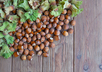 Ripe hazelnuts in shells on the wooden background