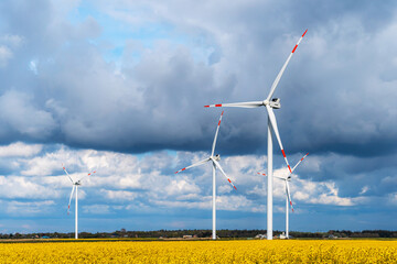 Wind energy park with serveral mills infront of cloudy sky surrounded by yellow raps
