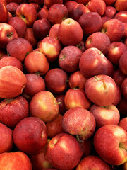 Red juicy ripe apples. Autumn harvest fruit background. Vertical shot