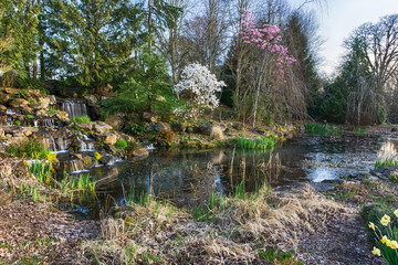 Eamonn Hughes Water Garden in the Oregon Garden (80-acre botanical garden).  Popular tourists attraction