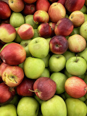 Red and green ripe juicy apples. Autumn harvest background. Vertical shot