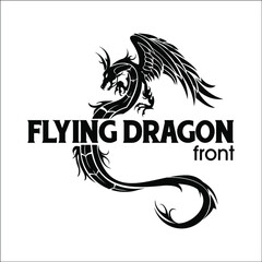 Flying Dragon Front logo exclusive design inspiration