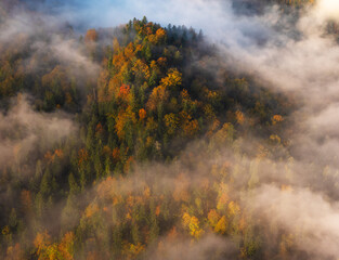 Fototapeta na wymiar Fog in the mountain forest with yellow and red leaves, top view