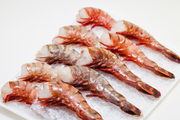 ブラックタイガー