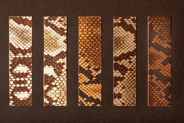 Beige brown leather samples with imitation of exotic reptile, natural shades, fashion industry concept.