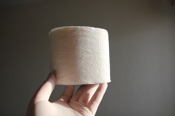 white toilet paper roll in sunlight