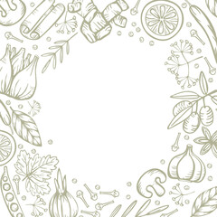 Fototapeta na wymiar Spices herbs for delicious and healthy cooking. Vector round border on white background. Stylized hand drawing.