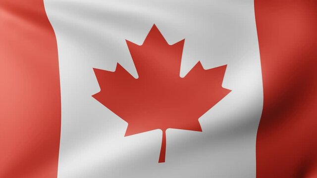 Canadian flag. The flag of Canada is waving in the wind. The Maple Leaf.