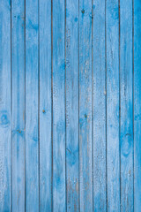 Wood background. Old blue vertical boards