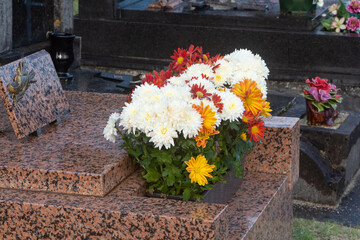 Chrysanthemum plants on tombstones for All Saints Day