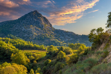 Rich vineyards of the inner valleys of the Peloponnese Pensinsula in Southern mainland Greece