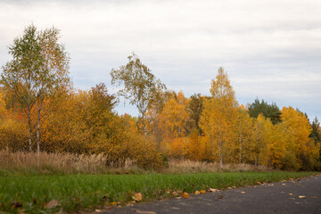 Herbstfarben