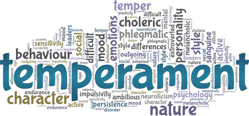 Temperament vector illustration word cloud isolated on a white background.