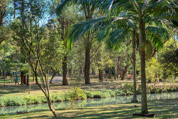 Public park with trees and people walking around