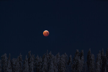 Obraz premium lunar eclipse