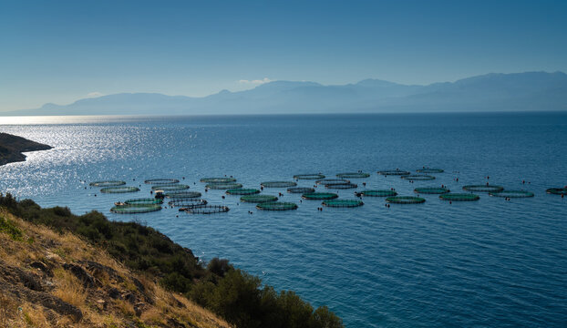 Fish farms in the midst of beautiful coastal scenes along the shores of the Gulf of Corinth, Greece