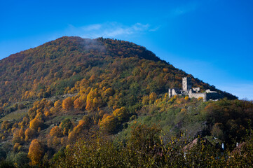 Obraz premium Wachauruine Hinterhaus im Goldenen Herbst