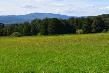 meadow and mountains