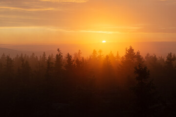 Fototapeta na wymiar sunset through the fog