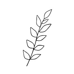 Fototapeta na wymiar Leaves simple outline vector minimalist concept illustration, thin line hand drawn floral branch, element for invitations, greeting cards, booklet design