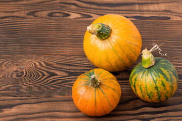 Autumn still life for thanksgiving day with pumpkins on brown wooden background. Copy space