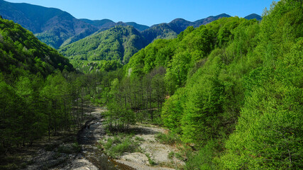 Naklejka na ściany i meble Scorusu Valley surrounded by dense wild forests and steep mountain peaks.