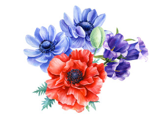 Fototapeta premium Set of red poppies and blue anemones, bell flowers on isolated background, watercolor illustration