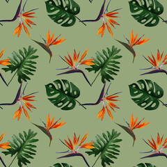 Seamless tropical pattern with  strelitzia with leaves on olive background. Seamless pattern with colorful leaves of colocasia, filodendron, monstera. Exotic wallpaper. Hawaiian style. © Olena
