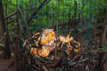 Close up of a composter - orange peel, onion peel, eggshell