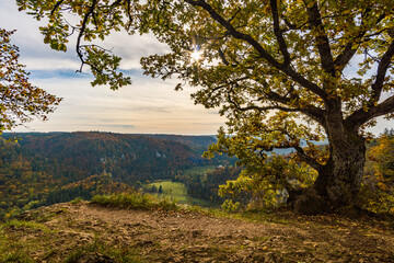Fototapeta premium Fantastic autumn hike in the beautiful Danube valley near the Beuron monastery