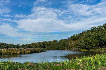 Obraz premium Lake in Astra Museum, Romania