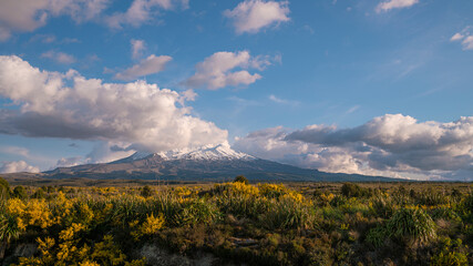 Naklejka premium new zealand mountains