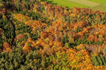 Luftbild/Aerial Laubwald Herbst
