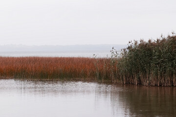 Beautiful autumn landscape. Forest and lake.
