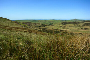 The grassy greenery of rural England