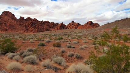 Red rocks in the Valley of Fire in Nevada