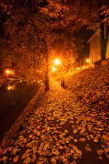 Autumn night landscape in the park alley trees
