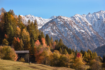 baita montagne chalet autunno alberi colorati magia autunno Pejo Val di Sole 