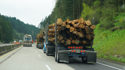 Logging Trucks on Highway